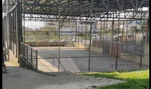 Cancha AuditorioTeis - 1