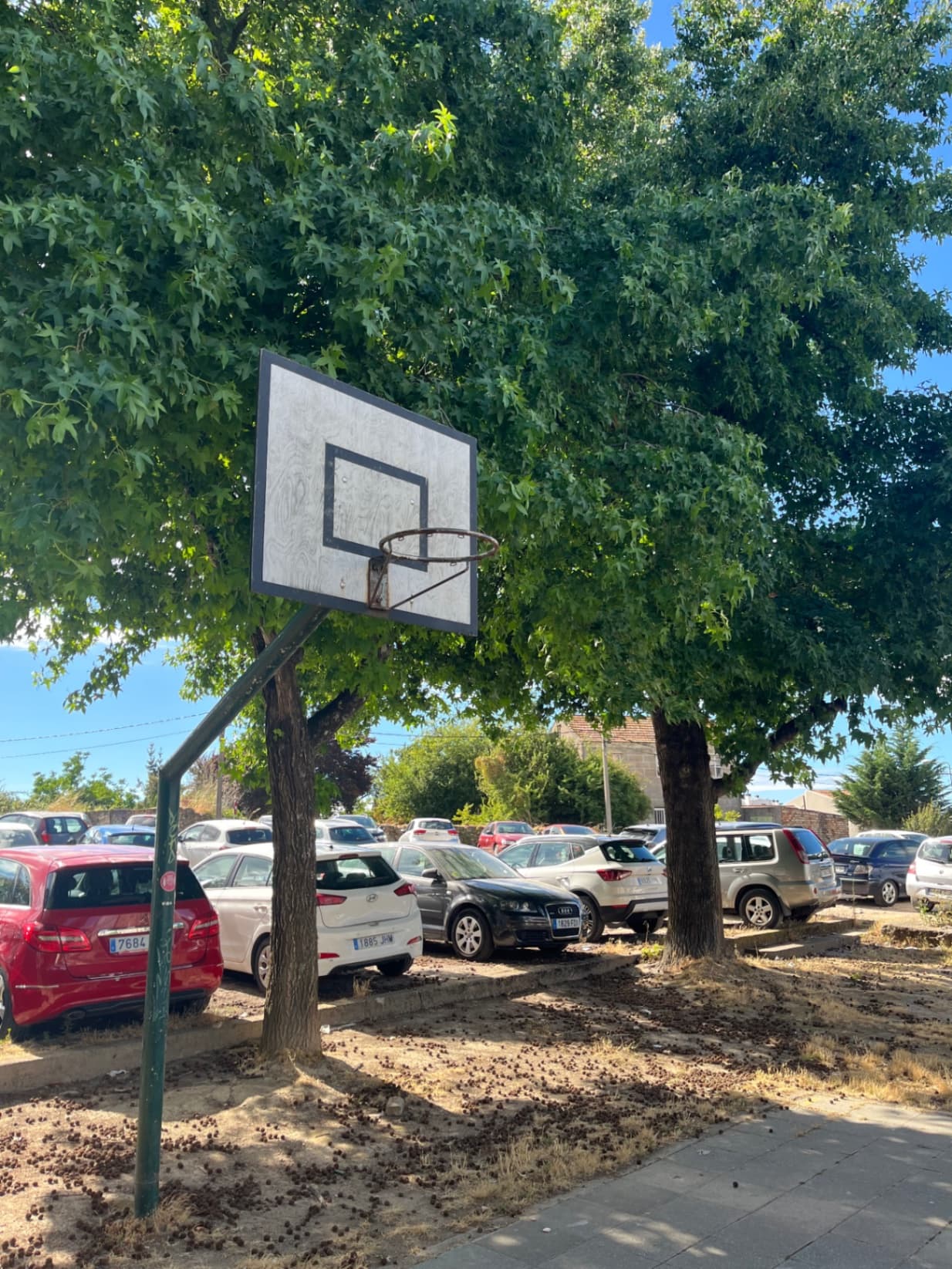 Canchas juzgado - 2