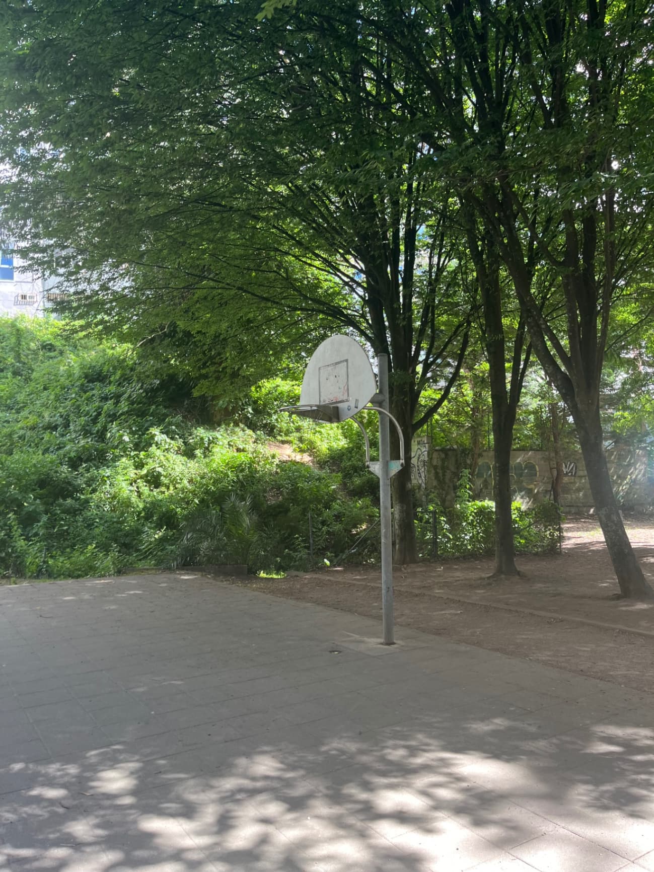 Cancha Parque Seara - 2